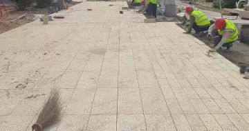 宜春黄金麻荔枝面地铺案例