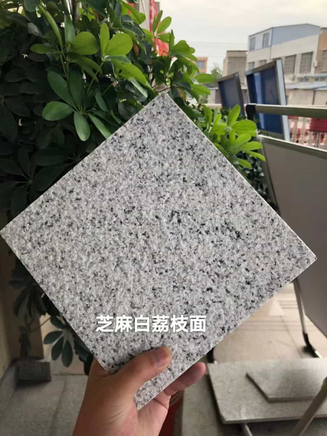 宜春 芝麻白荔枝面干挂