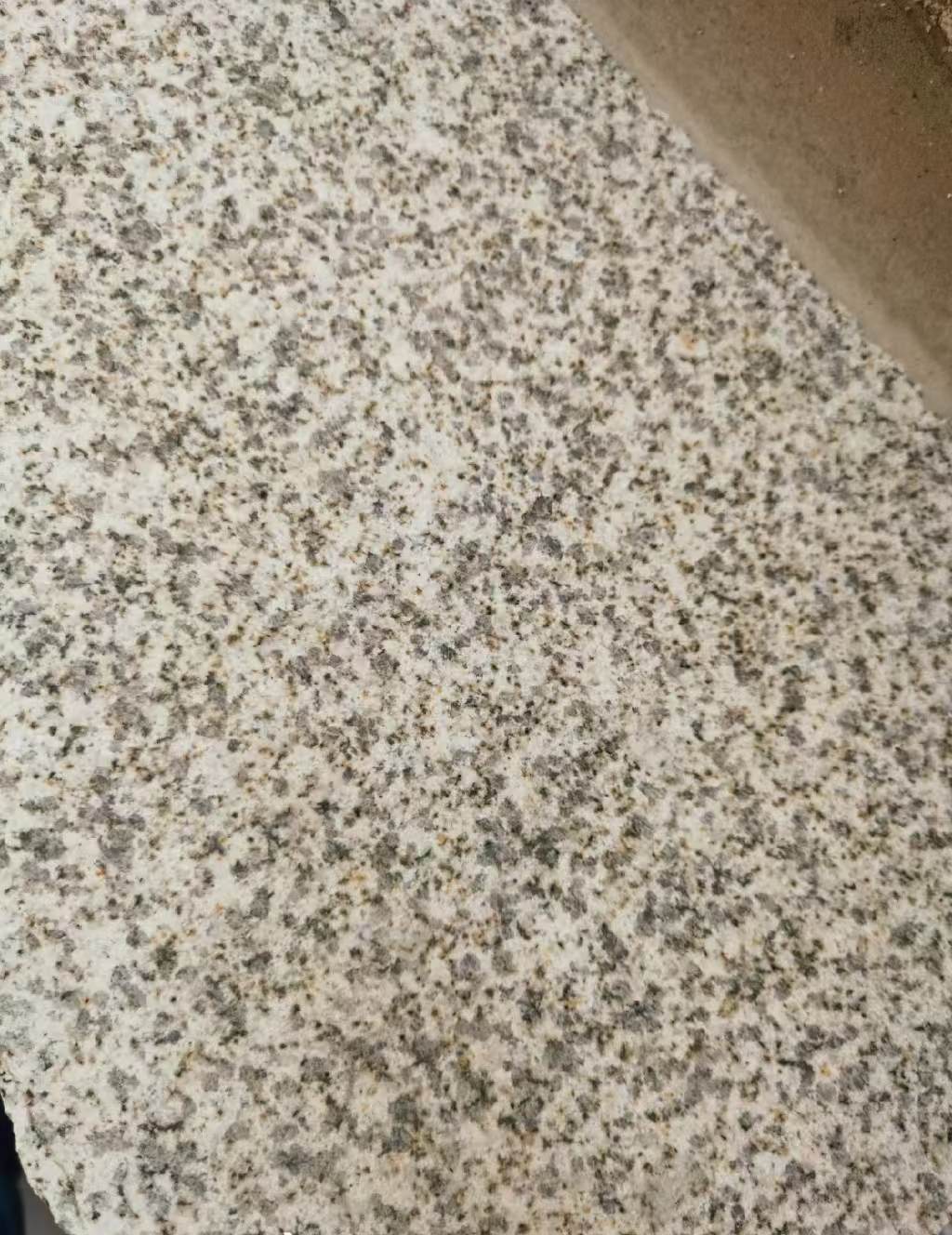 宜春 黄金麻中黄光面